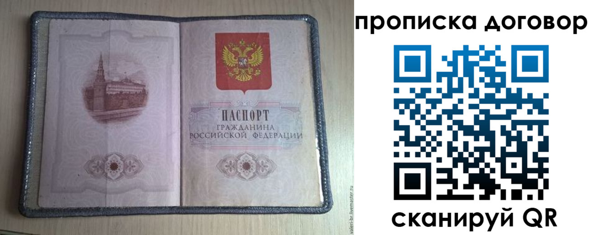 прописка для работы в Полярных Зорях