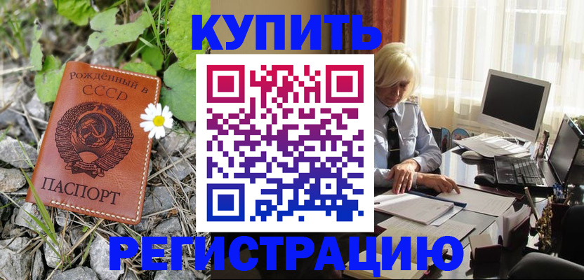 временная регистрация поиск в Полярных Зорях